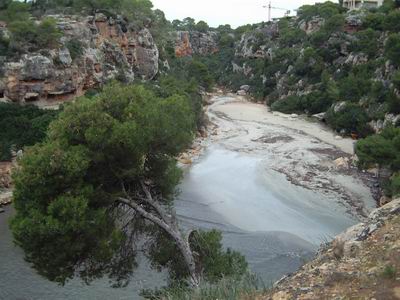 DSCF0004.JPG